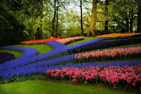 Keukenhof in the Netherlands has long been a magnet for international tourism, but it is