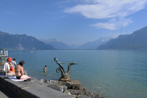 Ein Seepferd badet mit den Schwimmern im Genfersee bei Vevey. A sea horse taking a bath in Lake