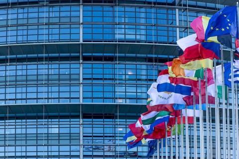 EU flags on poles in front of the Glass Fasadz building and the entrance to the European