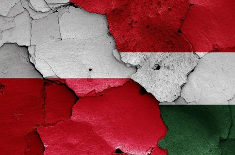 Flags of Poland and Hungary painted on cracked wall
