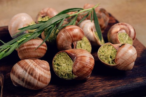 Food, Snails stuffed in Burgundy, on a wooden board, top view, French cuisine, no people
