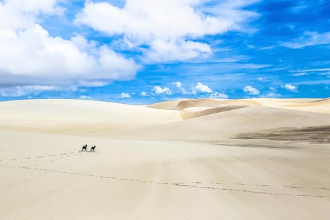 Lencois Maranhenses, National Park, Maranhao, Brazil, South America