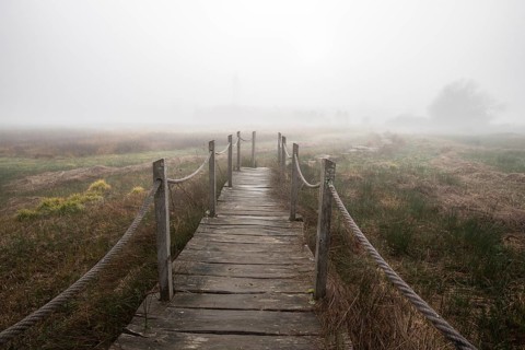 A wooden walkway or footbridge leads through a nature reserve in dense fog. Landscape shot in the
