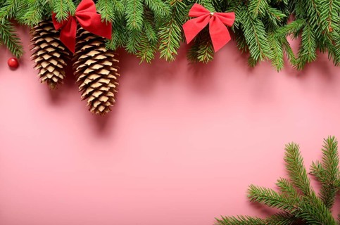 Flat lay design of Christmas greeting card of fir twigs bows and cones on pink background. Space