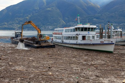 Driftwood after storm, crane, Lake Maggiore, Locarno, Ticino, Lake Maggiore, Switzerland, Europe