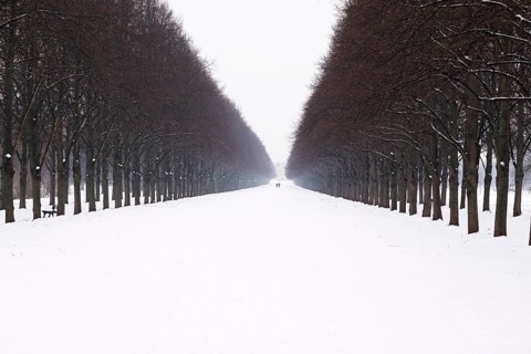 wide snow covered alley in winter with tiny people in the distance