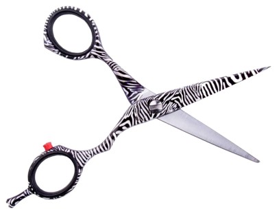 Professional open scissors, painted like a zebra, used in hairdressing salons. Unique design,