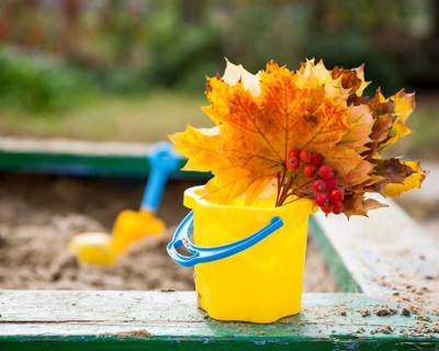 Bouquet of maple leaves and ashberry on playground in autumn