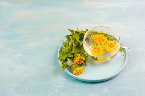 Dandelion wildflower tea, glass with herbal hot drink, alternative medicine for detox, leaves and