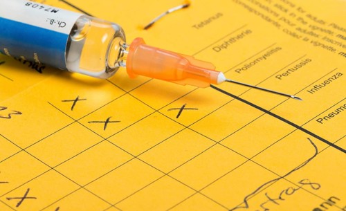 Syringe with vaccine on international vaccination certificate