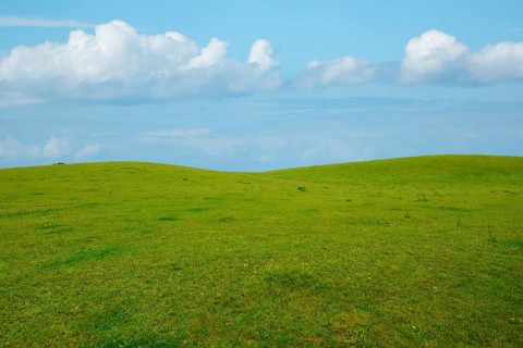 Hillside lounger mountain meadow