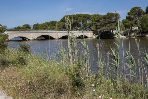 Pont dels Anglesos, s Oberta, exit to the sea from Canal Gran, Àrea Natural d'Especial Interès,