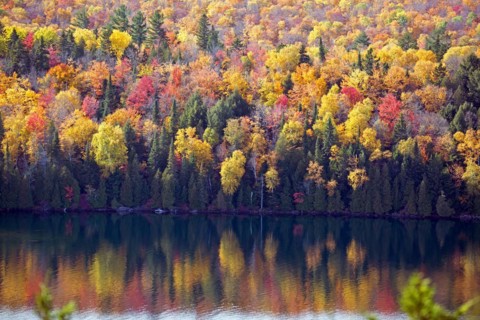 Autumn forest panorama at lake sacacomie in Canada
