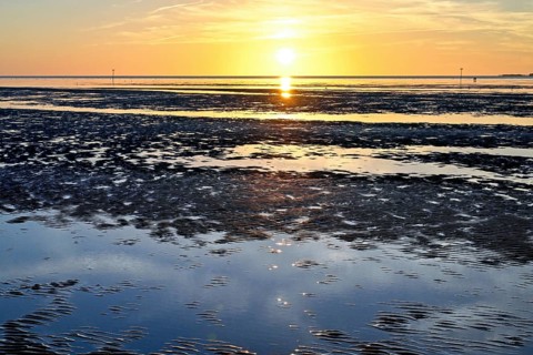 Wadden Sea shortly in front of sunset, Sahlenburg, Cuxhaven, Lower Saxony, Germany, Europe