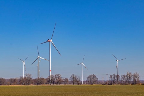 Wind farm near Elsterwerda