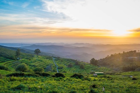 Sunset view in a valley with terraced fields around mount Foia on Monchique, Portugal, Europe