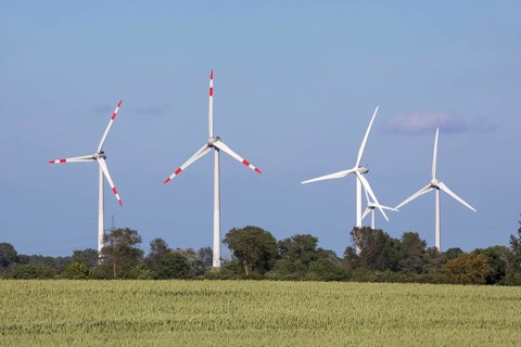 Wind turbines in front of a blue sky near Gremersdorf, Schleswig-Holstein. With wheat field. Wind