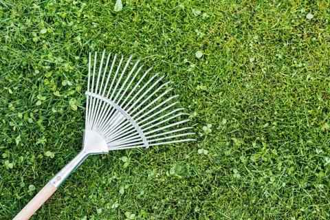 Top view rake grass