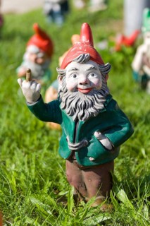 Garden gnome gives the finger