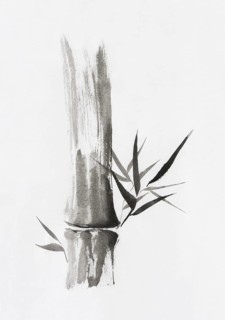 Beautiful Zen painting of bamboo stalk and leaves. Sumi-e Chinese Japanese black ink on rice paper