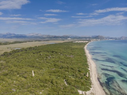Es Comú, Àrea Natural d'Especial Interès, included within the Natural Park of s'Albufera, Muro,