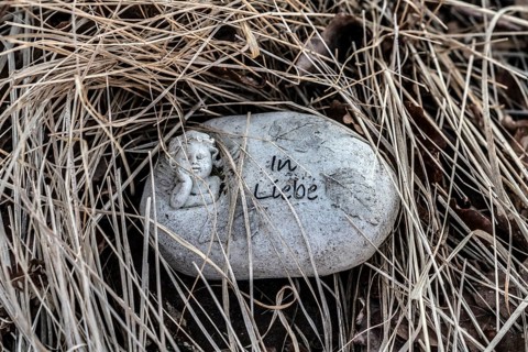 A heart with the inscription in love, natural burial grave site, Friedwald, Reinhardswald Forest,
