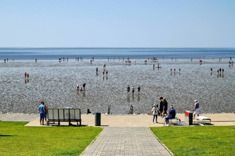 Path at the foot of the dyke with Wadden Sea, Büsum, Dithmarschen, Schleswig-Holstein, Germany,