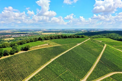 Scheuerberg