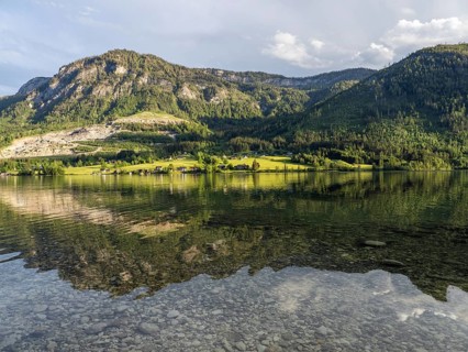 Forest and lakeshore in the evening light, Grundlsee, Salzkammergut, Styria, Austria, Europe