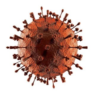 Flu virus H1N1 H5N1 influenza A virus particle, virion. Swine flu, avian flu, canine flu, equine