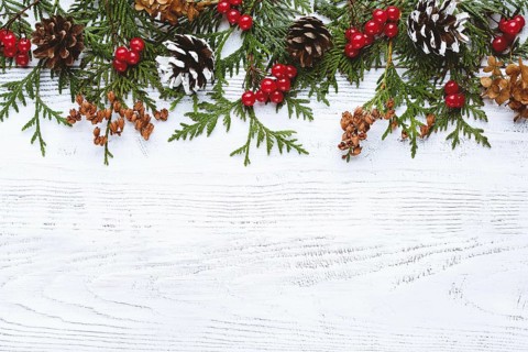 Border of Christmas tree branches pine cones flowers and red berries on white wooden background,
