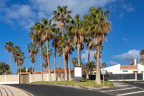 Palm trees in a holiday resort in Los Abrigos, Tenerife