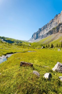 Beautiful green grass valley at high altitude at Sixt Fer A Cheval National Park with view of Tete