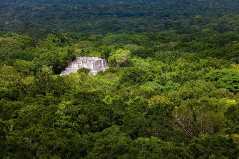 Maya-Ruinen in Calakmul