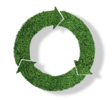 lush green grass recycling symbol, sustainability concept isolated on white background