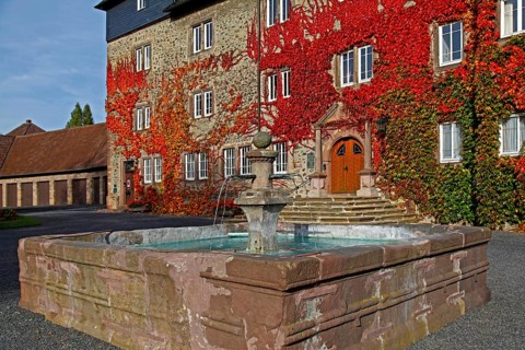 Castle, vine leaves, Lauterbach, Vogelsbergkreis district, Hesse, Germany, Europe