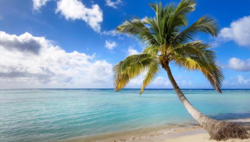 KI generated, A beach with beautiful palm trees in the Caribbean, Samana Peninsula, Dominican