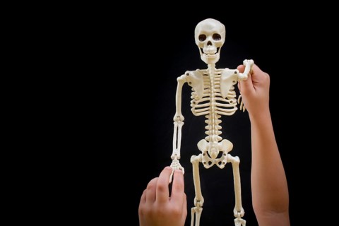 Little boy holding a small size artificial skeleton in hand