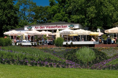 Cafe 'An den Wasserbecken', Westfalenpark Dortmund, Ruhr Area, shrub rose (Rosa), Germany, Europe