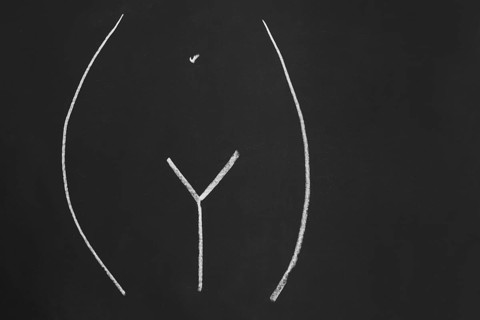 womb or female pubic area or region without pubic hair - simple minimalist line drawing with chalk