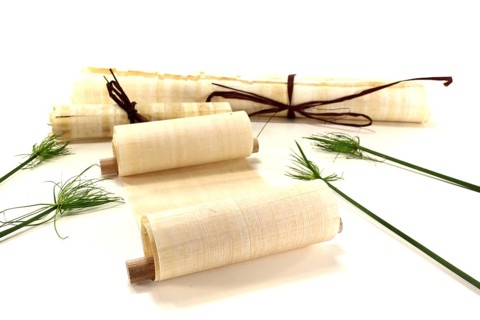 Yellowed papyrus scrolls with papyrus against a light background