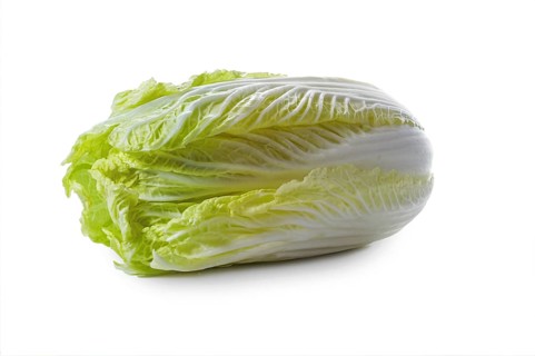 Fresh raw Chinese or napa cabbage isolated on a white background, healthy leaf vegetable, copy