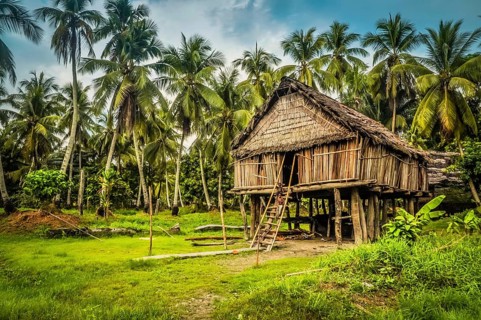 Photo of large house made of straw and bamboo in Palembe, Sepik river in Papua New Guinea. In this