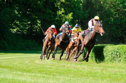 Gallop racing, English thoroughbred, Race, Gallop, Jockey, Jockeys
