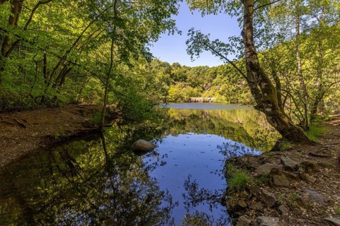Scenic view at the silver lake on the mountain Lemberg, Rhineland-Palatinate, Germany, Europe