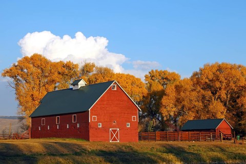 Rote Scheune, Horse River Ranch, Ohio Pass, Gunnison, Colorado, USA, North America