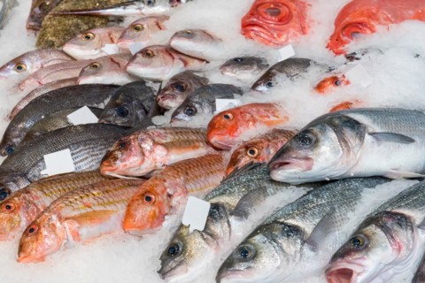 Fish on ice for sale at a market