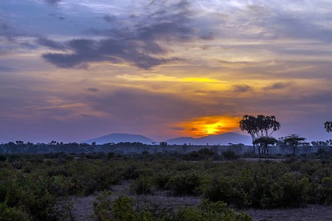 Sunrise in Samburu National Park, Rift Valley, Kenya, Samburu National Park, Kenya, Africa