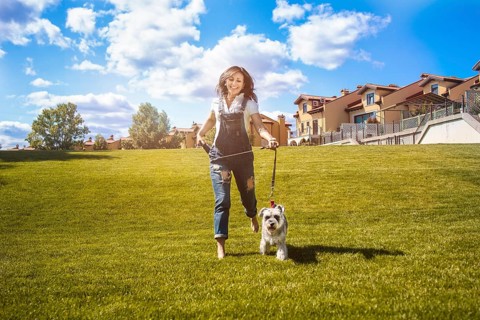 Adult Caucasian happy woman run in the park with her beloved dog Schnauzer. fun mood