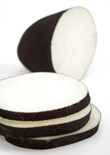 Black radish (raphanus sativus) niger, vegetable against white background